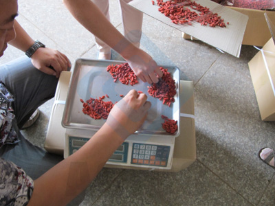 Best Dry Goji for Sale