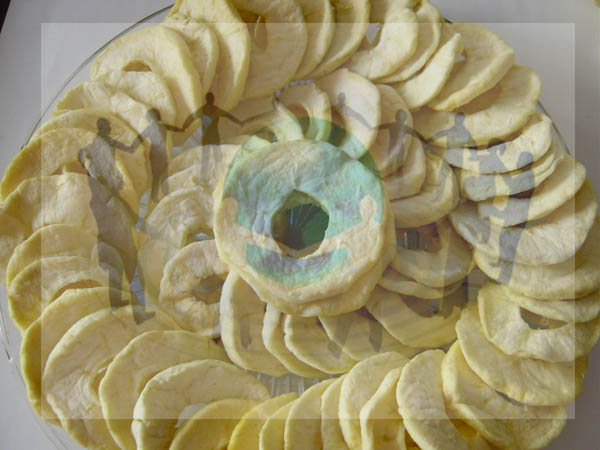 Introduction to Dry Fruits Exporters