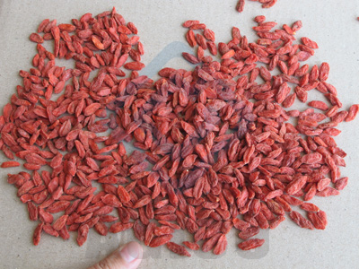Dry Goji from China