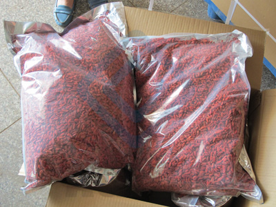 Ningxia Dry Goji 